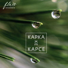 CD / Flair Ensemble / Kapka ke kapce
