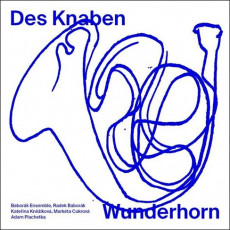 CD / Babork Ensemble,Knkov Kateina / Mahler:Des Knaben Wund.