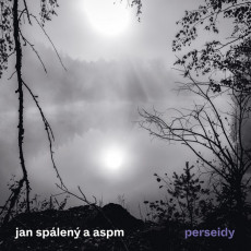 LP / Splen Jan & ASPM / Perseidy / Vinyl