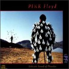 2CD / Pink Floyd / Delicate Sound of Thunder / 2CD