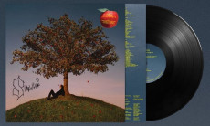 LP / Slowthai / Tyron / Vinyl