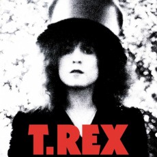 2LP / T.Rex / Slider / Vinyl / 2LP