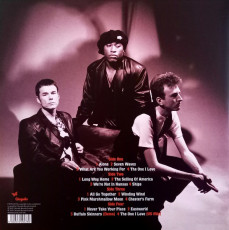 LP / Big Country / Buffalo Skinners / Vinyl / 2LP