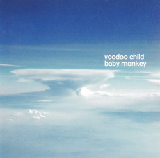CD / Voodoo Child / Baby Monkey