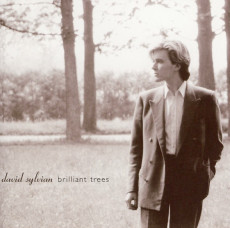 CD / Sylvian David / Brilliant Trees / Remastered