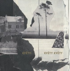 LP / Kvty / Kvty kvty / Vinyl