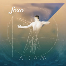 CD / FoxO / Adam