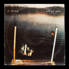 LP / Carey S. / All We Grow / Vinyl / Translucent Seaglass Wave / LTD