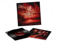 LP / Bodom After Midnight / Paint The Sky With Blood / Vinyl