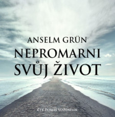 CD / Grn Anselm / Nepromarni svj ivot / MP3