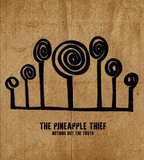 Blu-Ray / Pineapple Thief / Nothing But the Truth / Live / Blu-Ray Audio