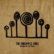 2CD / Pineapple Thief / Nothing But the Truth / Live / 2CD