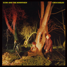 LP / Echo & The Bunnymen / Crocodiles / Vinyl