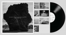 LP / Albarn Damon / Nearer the Fountain,More Pure The... / Vinyl