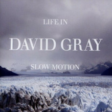 CD / Gray David / Life In Slow Motion