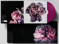 LP / Slow Show / Still Life / Purple / Vinyl