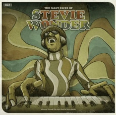 2LP / Wonder Stevie / Many Faces Of Stevie Wonder / Vinyl / Colored / 2LP
