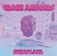 LP / Glass Animals / Dreamland:Real Life Edition / Dark Green / Vinyl