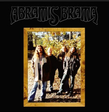 LP / Abramis Brama / Nothing Changes / Gold / Vinyl