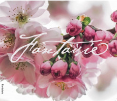 CD / Vaculov� Kristina / Fantaisie
