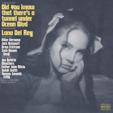 2LP / Del Rey Lana / Did You Know That There's a Tunnel Under. / Vinyl