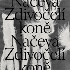 LP / Naeva / Zdivoel kon / Silver / Vinyl