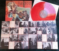 LP / DG 307 / Houska 1975 / Coloured / Vinyl