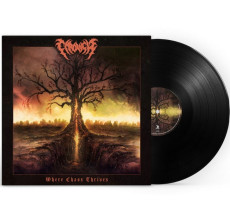 LP / Chronicle / Where Chaos Thrives / Vinyl