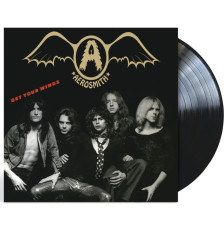 LP / Aerosmith / Get Your Wings / Vinyl