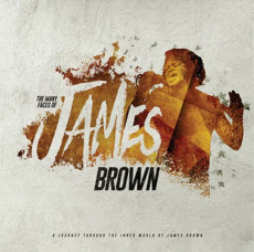 2LP / Brown James / Many Faces of James Brown / Tribute / Amber / Vinyl / 2L