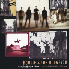 LP / Hootie & The Blowfish / Cracked Rear View / Vinyl