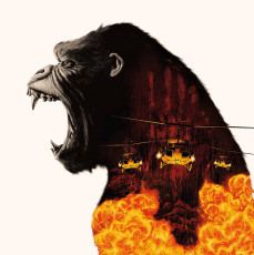 2LP / Jackman Harry / Kong: Skull Island / OST / 180gr / Coloured / Vinyl / 2l