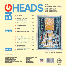 LP / Pavlíček Michal / Big Heads / Vinyl