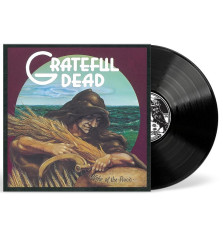 LP / Grateful Dead / Wake of the Flood / 50th Anniversary / Vinyl
