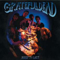 LP / Grateful Dead / Built To Last / Vinyl