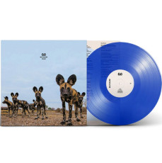 LP / Balthazar / Fever / Light Blue / Vinyl