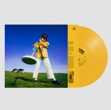 LP / McKenna Declan / What Happened To The Beach? / Yellow / Vinyl