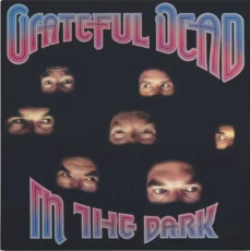 LP / Grateful Dead / In The Dark / Silver / Vinyl