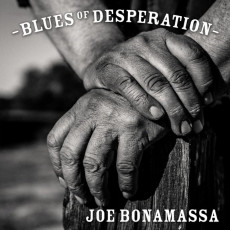 LP / Bonamassa Joe / Blues Of Desperation / Silver / Vinyl / 2LP