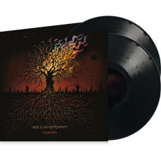 2LP / God Is An Astronaut / Embers / Vinyl / 2LP
