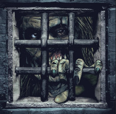 LP / OST / Castle Freak / Richard Band / Red Mint Green / Vinyl