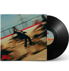 LP / Simpson Bradley / Panic Years / Vinyl