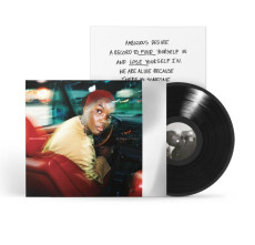 LP / Parks Arlo / Ambiguous Desire / Vinyl