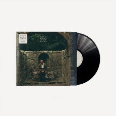 LP / Kennedy Dermot / Weight Of The Woods / Vinyl