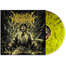 LP / Monument of Misanthropy / Washington State Charm / Marbled / Vinyl