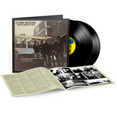 2LP / Flamin' Groovies / Shake Some Action / Vinyl / 2LP
