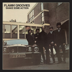 2LP / Flamin' Groovies / Shake Some Action / Vinyl / 2LP