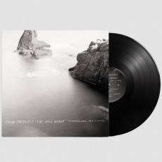 LP / Contemporaneous,David Bloom / Dylan Mattingly:Wild Heart / Vinyl