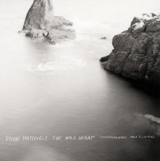 LP / Contemporaneous,David Bloom / Dylan Mattingly:Wild Heart / Vinyl
