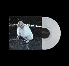 LP / LeCount Erin / Pareidolia / Transparent Glitter / Vinyl